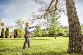 Best Arborist Consultation Services  in Man, WV